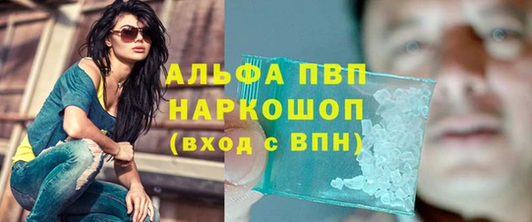 PSILOCYBIN Баксан