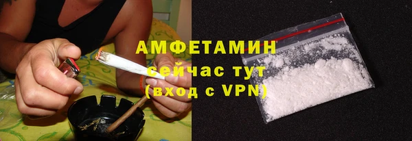 трава Коряжма