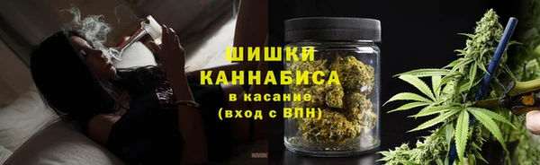 PSILOCYBIN Баксан