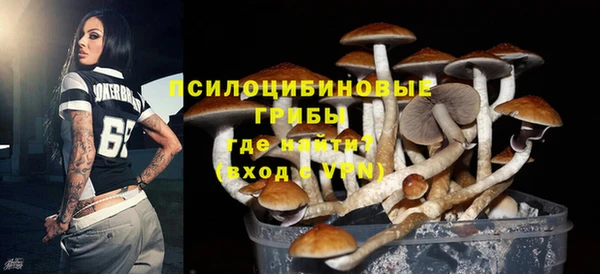 дмт Балабаново